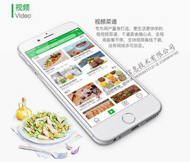 菜譜大全App開(kāi)發(fā) 大廚唾手可得，移動(dòng)互聯(lián)技術(shù)賦能美食生活